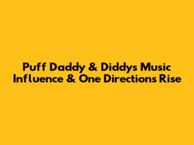 Puff Daddy & Diddy's Music Influence & One Direction's Rise