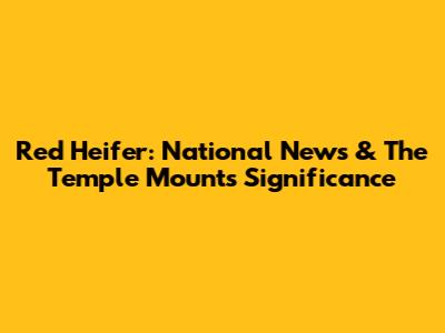 Red Heifer: National News & The Temple Mount's Significance