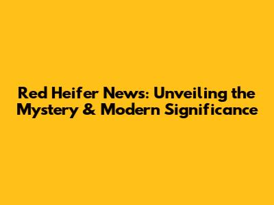 Red Heifer News: Unveiling the Mystery & Modern Significance