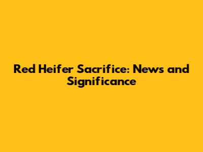Red Heifer Sacrifice: News and Significance