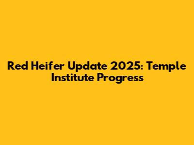 Red Heifer Update 2025: Temple Institute Progress