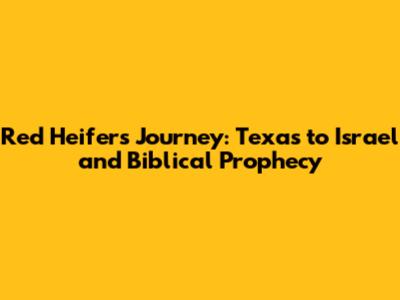 Red Heifers' Journey: Texas to Israel and Biblical Prophecy