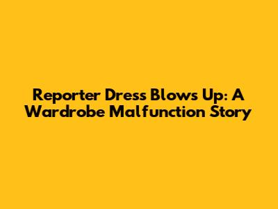 Reporter Dress Blows Up: A Wardrobe Malfunction Story