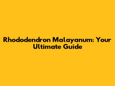 Rhododendron Malayanum: Your Ultimate Guide