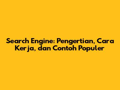 Search Engine: Pengertian, Cara Kerja, dan Contoh Populer