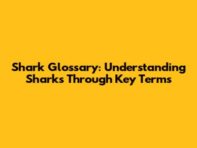 Shark Glossary: Understanding Sharks Through Key Terms