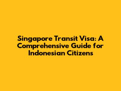 Singapore Transit Visa: A Comprehensive Guide for Indonesian Citizens