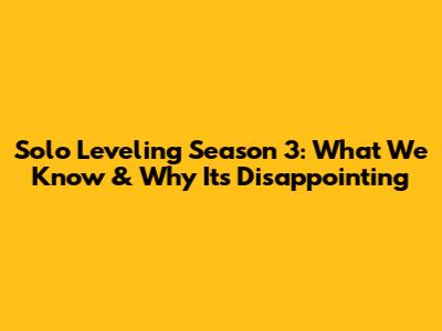 Solo Leveling Season 3: What We Know & Why It's Disappointing