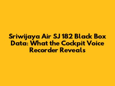 Sriwijaya Air SJ 182 Black Box Data: What the Cockpit Voice Recorder Reveals