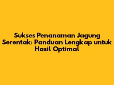 Sukses Penanaman Jagung Serentak: Panduan Lengkap untuk Hasil Optimal