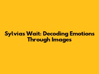 Sylvia's Wait: Decoding Emotions Through Images