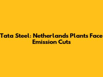 Tata Steel: Netherlands Plants Face Emission Cuts
