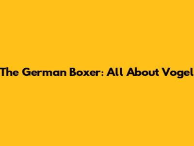 The German Boxer: All About Vogel