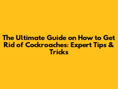 The Ultimate Guide on How to Get Rid of Cockroaches: Expert Tips & Tricks