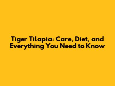 Tiger Tilapia: Care, Diet, and Everything You Need to Know