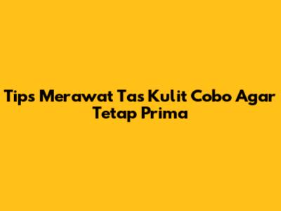 Tips Merawat Tas Kulit Cobo Agar Tetap Prima