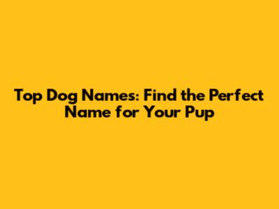 Top Dog Names: Find the Perfect Name for Your Pup
