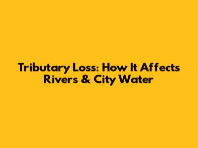 Tributary Loss: How It Affects Rivers & City Water