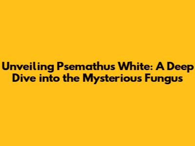 Unveiling Psemathus White: A Deep Dive into the Mysterious Fungus