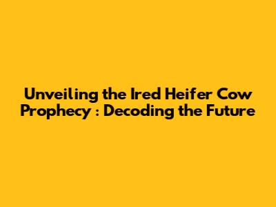 Unveiling the *Ired Heifer Cow Prophecy*: Decoding the Future