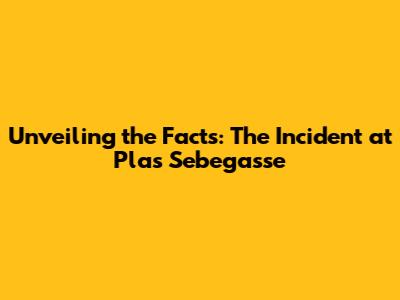 Unveiling the Facts: The Incident at Plas Sebegasse