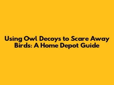 Using Owl Decoys to Scare Away Birds: A Home Depot Guide