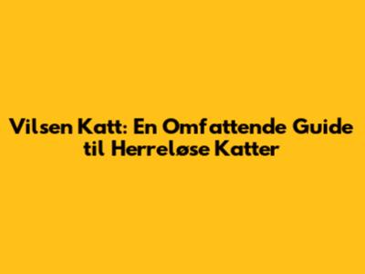 Vilsen Katt: En Omfattende Guide til Herreløse Katter
