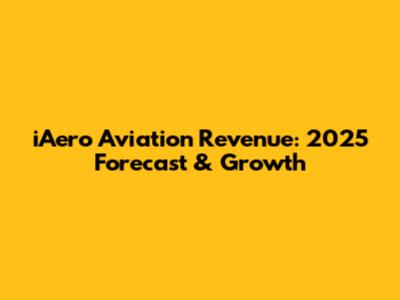 iAero Aviation Revenue: 2025 Forecast & Growth